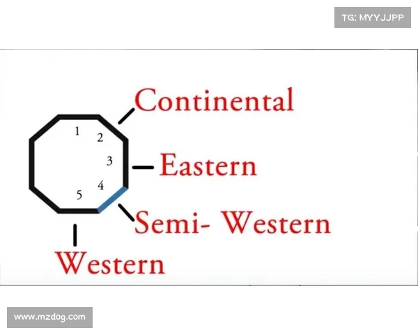 网球比赛战术与技术分析:探索顶级球员背后的成功秘诀 网球比赛战术与技术分析:探索顶级球员背后的成功秘诀