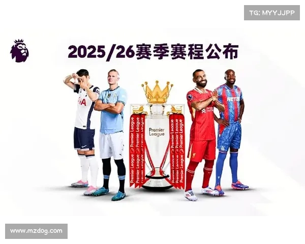 英超历史冠军榜单回顾与分析 各大豪门的辉煌征程 英超历史冠军榜单回顾与分析 各大豪门的辉煌征程